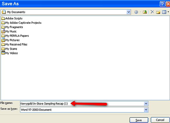 Save As Screen with Red Arrow Pointing at New File Name